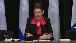 Bridge, tunnel or nothing? What's happening with Quebec City's '3rd link' project News Clip