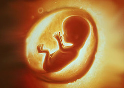 Amniotic fluid Instructional Video