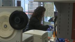 Bacteria rewired to live off CO2 News Clip