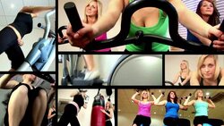 059 An Introduction to the Respiratory System Instructional Video