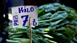 CLEAN : Soaring prices force Turkey's poor to cut back on essentials News Clip