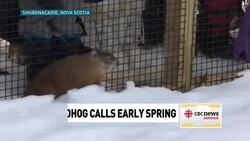 Groundhogs agree, an early spring it shall be News Clip