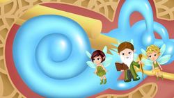 The Fabulous Ears Instructional Video