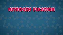 How Does it Work? - Nitrogen Cycle Instructional Video