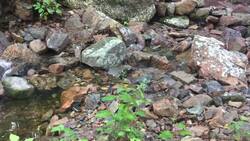 Acadia National Park - Waterfall Bridge Instructional Video