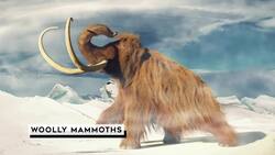 Cloning Extinct Species: Challenges and Possibilities Instructional Video