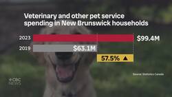 Competition Bureau says more distributors needed for pet meds News Clip
