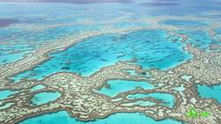 8 Truths and Myths About the Full Moon Instructional Video