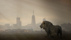 Encouragement: Finding Joy and Support in Every Moment Instructional Video