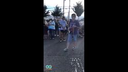 Tracys Dogs Take Off Live - Dog's Journey Home Instructional Video