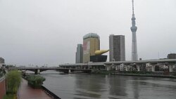 CLEAN : Tropical storm approaches Japan, affecting Olympic events News Clip