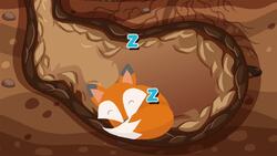 I WONDER - What Is Hibernation? Me Pregunto - Qué Es La Hibernación? Instructional Video