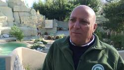 18 African penguins get a new home at Rome zoo News Clip