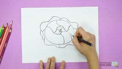 Arts and Crafts: How to Draw a Rose Instructional Video