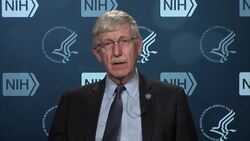 US Health Chief: Embryo gene editing 'great shock' News Clip