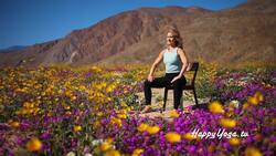 Good Morning Seated Stretch Instructional Video