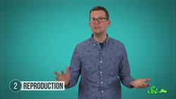 Meet the Most Important Animal Youve Never Seen Instructional Video