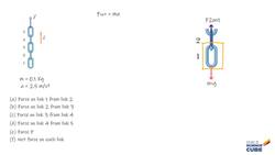 Physics Problem: Forces in a Vertically Accelerating Chain Instructional Video