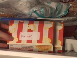 Your Science Fair Project: Steps in the Scientific Method Instructional Video