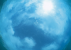 Ocean Conveyer Instructional Video