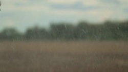 Irrigating crop fields water water sprinkler irrigation in 120fps Stock Footage