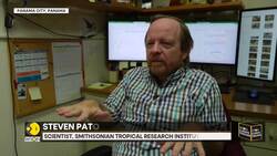 Panama: Rising sea levels fuel exodus in Gardi Sugdub News Clip