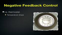 Introduction to the Endocrine System and Negative Feedback Control Instructional Video