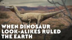 When Dinosaur Look-Alikes Ruled the Earth Instructional Video