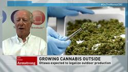 Legalized production News Clip