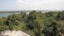 Inside the Lamani Mayan City in Belize Instructional Video