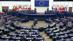 Alexei Navalny wins Sakharov Prize, the EU's highest award for human rights work News Clip