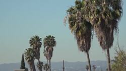 Stock shots of Los Angeles News Clip