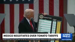 U.S. withdraws from tomato trade agreement, paving way for increased tariffs News Clip