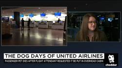 Will Passengers Actually Boycott United Airlines? News Clip