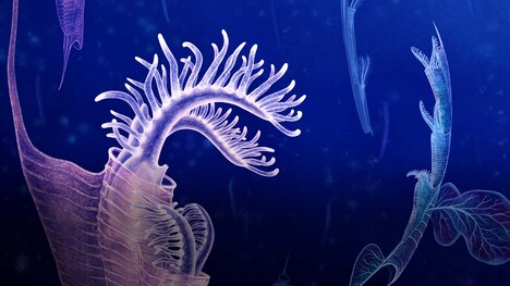 The Huge Extinctions We Are Just Now Discovering