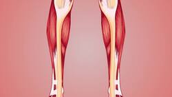 Tensor Tympani Muscle: Why Do You Hear A Rumbling Sound When You Close Your Eyes Too Hard? Instructional Video