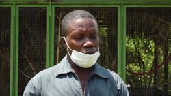 CLEAN : Tamed Gabonese monkeys face long journey back to the wild News Clip