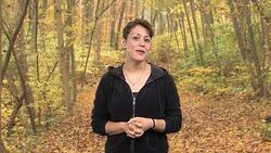 Get Up and Get Going Instructional Video