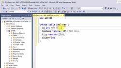 SQL Server Course for Beginners with 100+ examples - CHECK Constraint Instructional Video