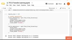 Deep Learning - Convolutional Neural Networks with TensorFlow - Transfer Learning Code (Part 2) Instructional Video