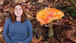 Ecosystem Dynamics: Exploring Matter and Energy Flow Instructional Video