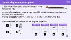 Capture/recapture sampling method Instructional Video