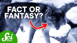Were Dire Wolves Actually Real? Instructional Video