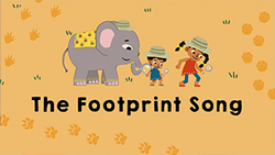 Who's steps are these Instructional Video