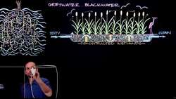 How to Recycle Waste Water Using Plants Instructional Video