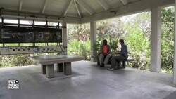 Artists find inspiration in nature and history of Everglades National Park News Clip