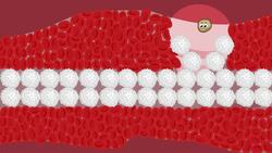 Immune System: Innate and Adaptive Immunity Explained Instructional Video