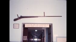 1970s: Fish swim Stock Footage