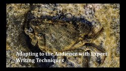 Adapting to the Audience with Expert Writing Techniques Instructional Video