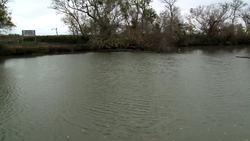 USDA Working With Farmers To Improve Ecosystem Health Of Gulf Coast Instructional Video